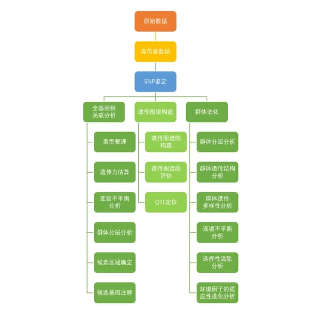 简化基因组测序原理
