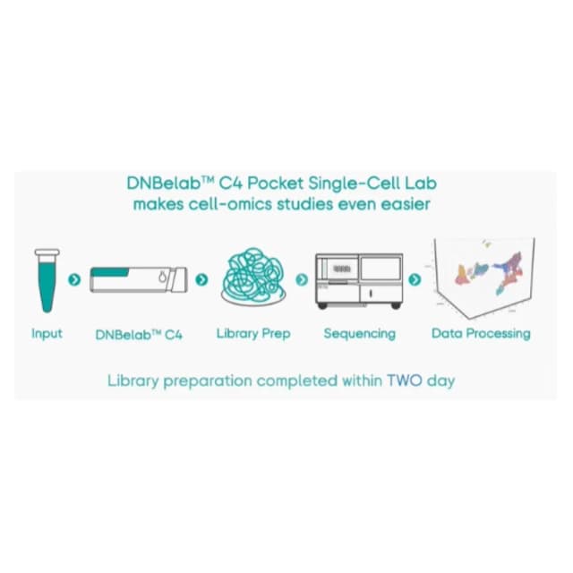 DNBELAB C-TAIM 4 单细胞转录组原理
