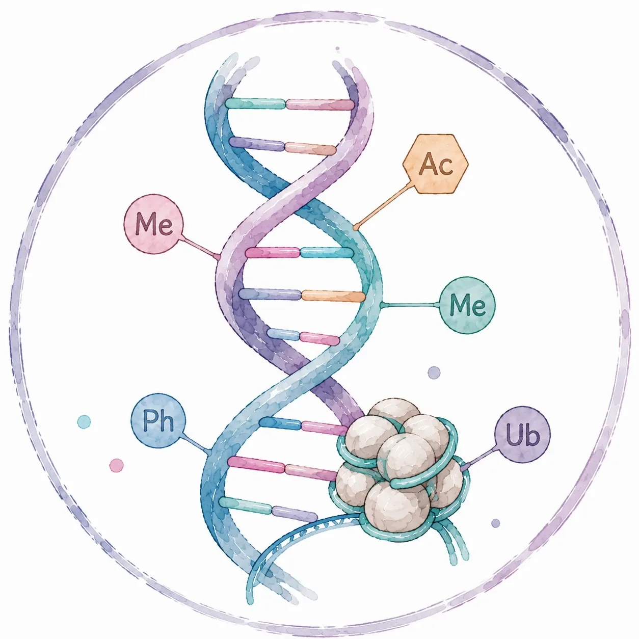 表观组学