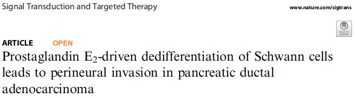Prostaglandin E2-driven dedifferentiation of Schwann cells leads to perineural invasion in pancreatic ductal adenocarcinoma